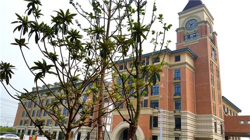 合肥七中高新校區(qū)樓宇、道路、景觀等命名名稱(圖7)