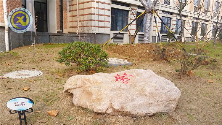 雪園“石頭記”，最美是氣質(zhì)(圖5)