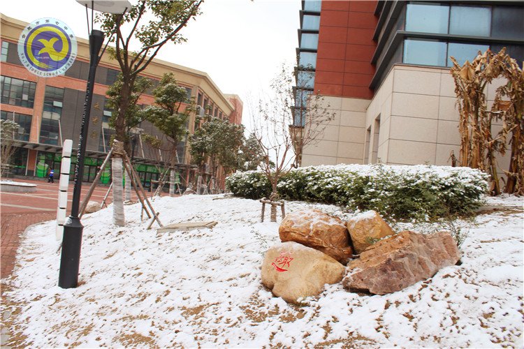 雪園“石頭記”，最美是氣質(zhì)(圖14)