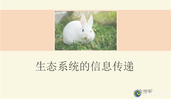 6月23日實(shí)習(xí)手記：實(shí)踐、感恩、拼搏(圖3)