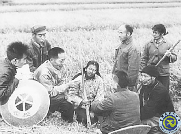 △早期研究階段，袁隆平（左三）在田間為農(nóng)民講課.png