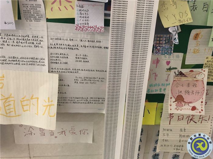 因為懂得，所以愛戴(圖4)