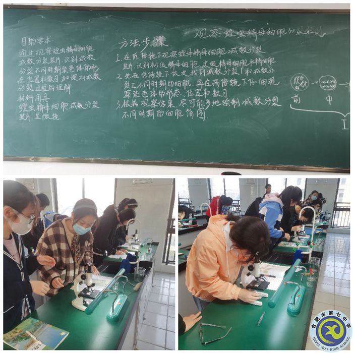 高一年級學(xué)生實驗過程中.jpg