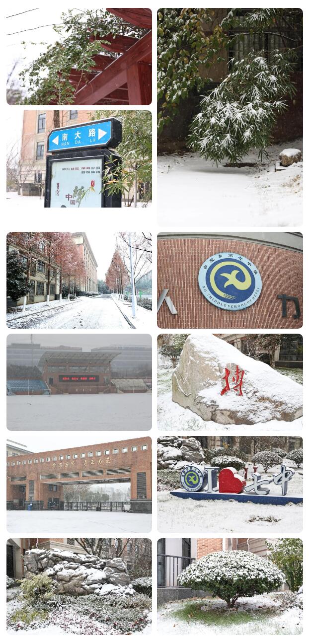 寶藏學(xué)校：每個(gè)人都期待，雪花所帶來的“活潑潑”的生命(圖5)