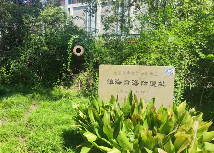 “主動(dòng)融入長三角，合肥七中這樣做”之四：知己不足而后進(jìn)，望山遠(yuǎn)岐而前行(圖5)