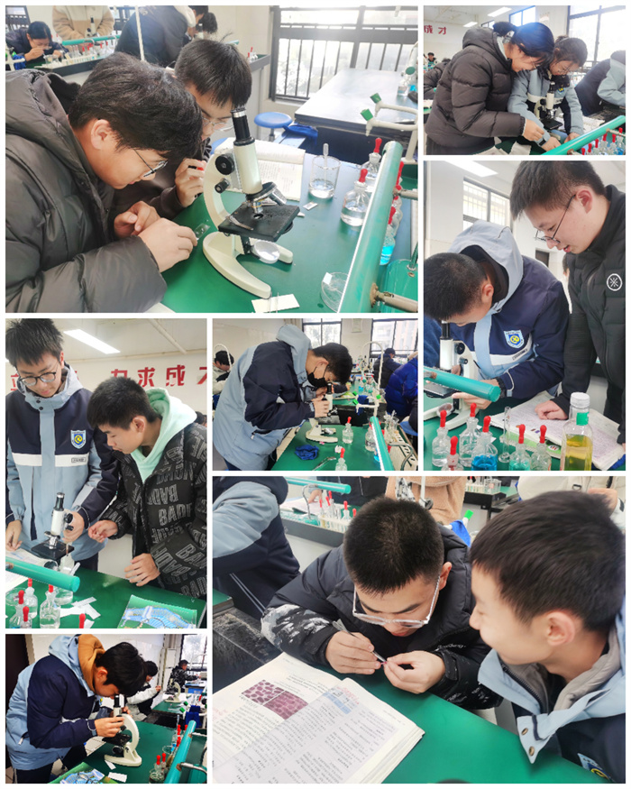 合肥七中高一年級開展生物實驗課教學(圖1)