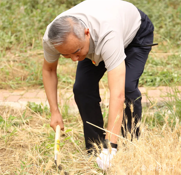 安徽省教育廳：美好生活 勞動創(chuàng)造 合肥七中開展系列勞動實踐教育活動(圖2)